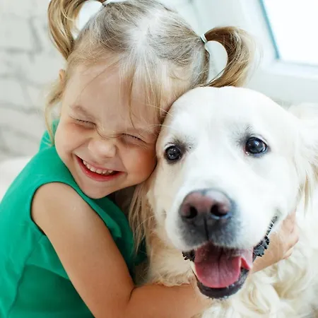 Ti Neves - * ペニシェ