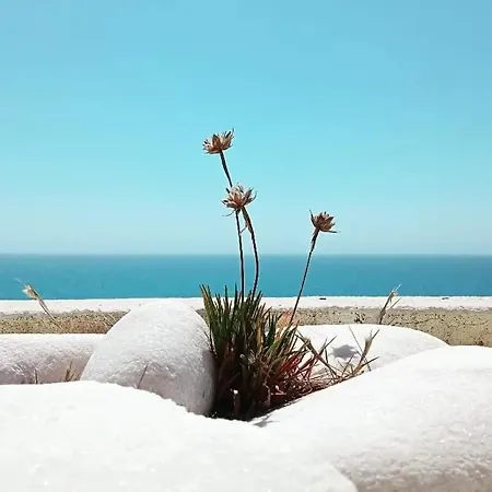 Ti Neves - Lägenhet *