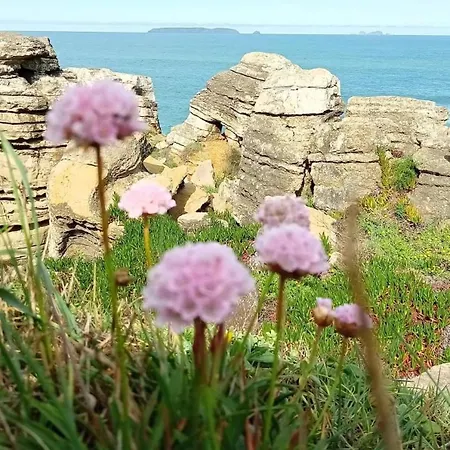 Lägenhet Ti Neves - Peniche