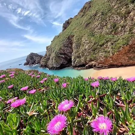 Lägenhet Ti Neves - Peniche